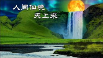 逃离泰莱森林